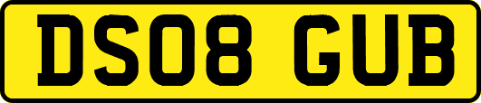DS08GUB