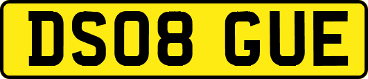 DS08GUE