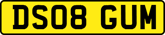DS08GUM