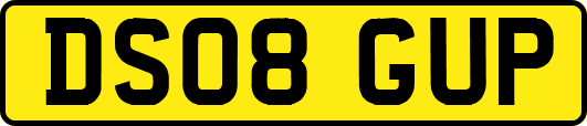 DS08GUP