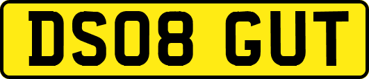 DS08GUT