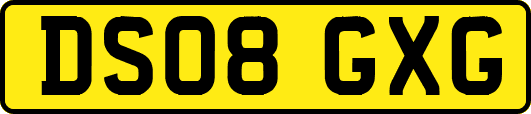 DS08GXG