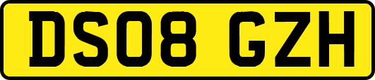 DS08GZH