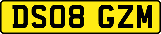 DS08GZM
