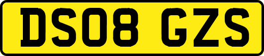 DS08GZS