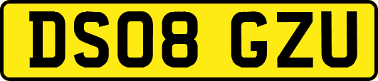DS08GZU