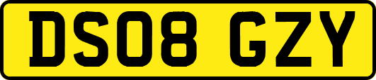 DS08GZY