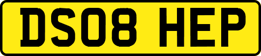 DS08HEP