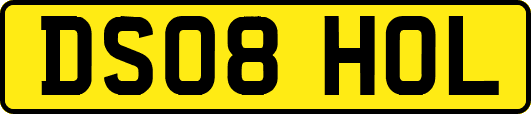 DS08HOL