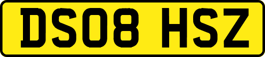 DS08HSZ