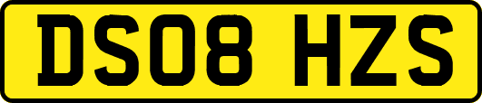 DS08HZS