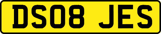 DS08JES