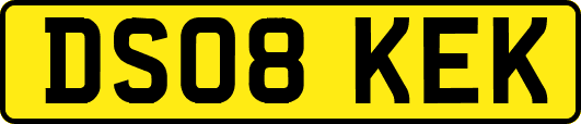 DS08KEK