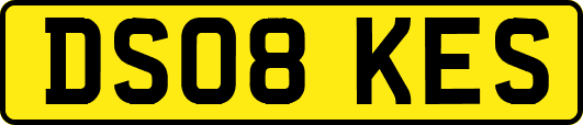 DS08KES