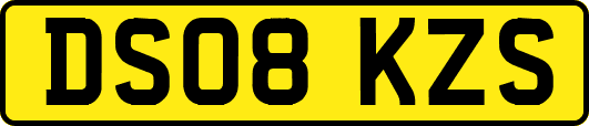 DS08KZS