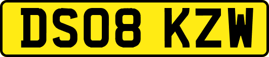 DS08KZW