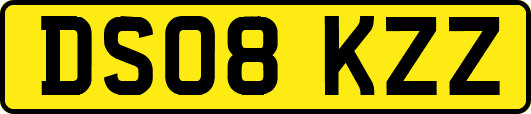 DS08KZZ