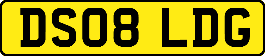 DS08LDG