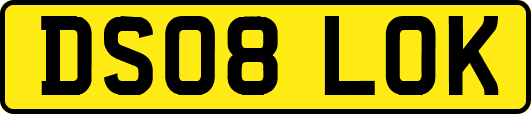 DS08LOK