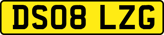 DS08LZG