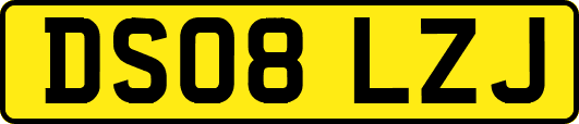 DS08LZJ