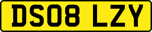 DS08LZY