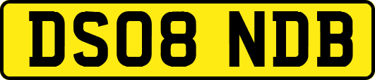 DS08NDB
