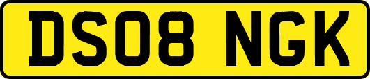 DS08NGK