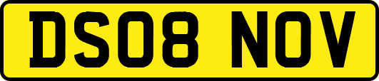 DS08NOV