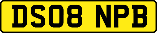 DS08NPB