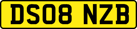 DS08NZB