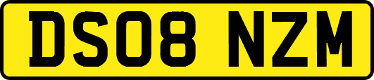 DS08NZM