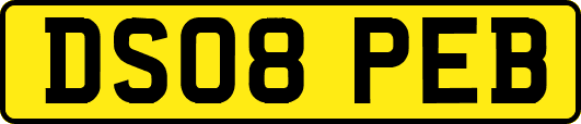 DS08PEB