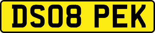 DS08PEK