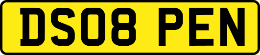 DS08PEN