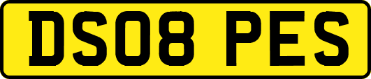 DS08PES