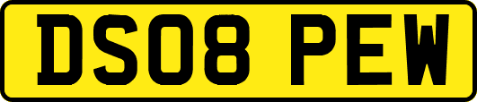 DS08PEW