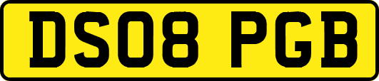 DS08PGB