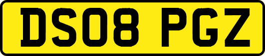 DS08PGZ