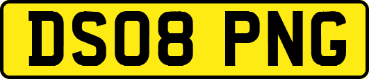 DS08PNG