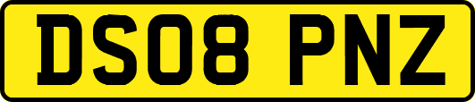 DS08PNZ