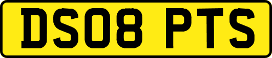 DS08PTS