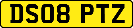 DS08PTZ