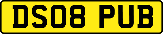 DS08PUB