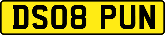 DS08PUN