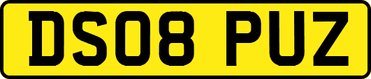 DS08PUZ