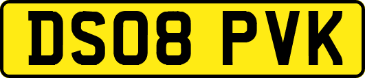 DS08PVK