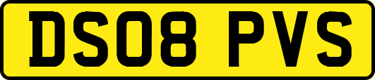 DS08PVS