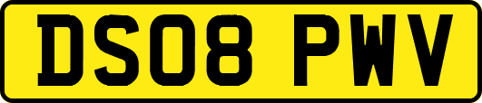 DS08PWV