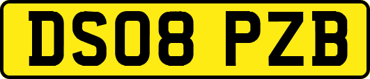 DS08PZB